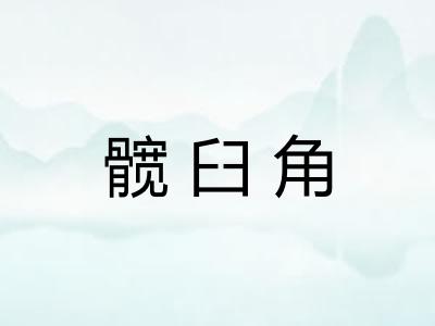 髋臼角