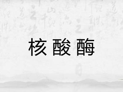 核酸酶