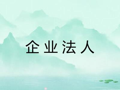 企业法人