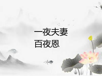 一夜夫妻百夜恩 一夜夫妻百夜恩