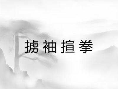 掳袖揎拳 掳袖揎拳