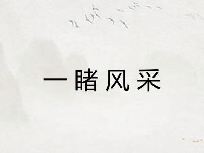 一睹风采