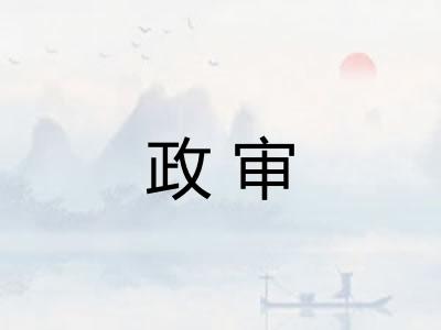 政审