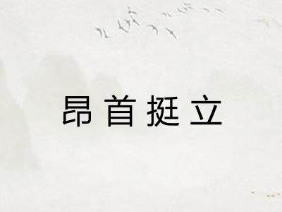 昂首挺立 昂首挺立