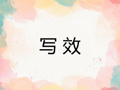 写效