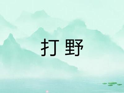 打野