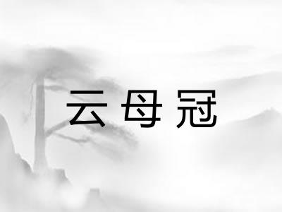云母冠 云母冠
