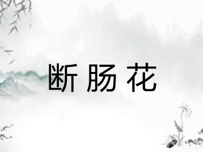 断肠花 断肠花