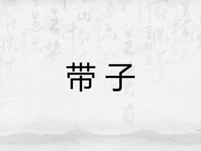 带子