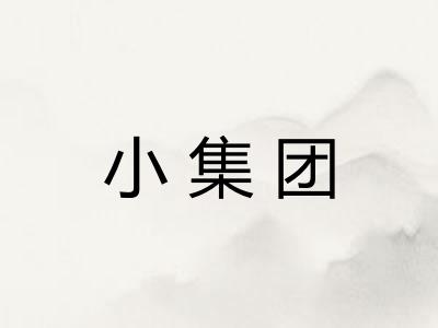 小集团 小集团