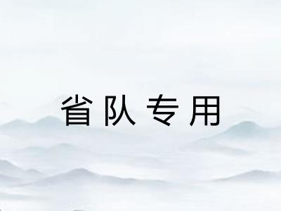 省队专用