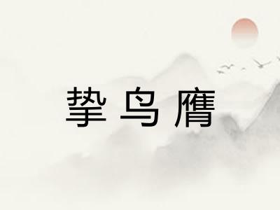 挚鸟膺