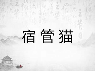 宿管猫
