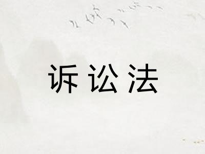 诉讼法