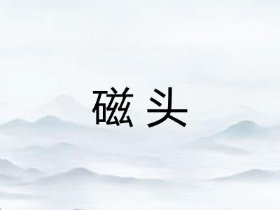 磁头