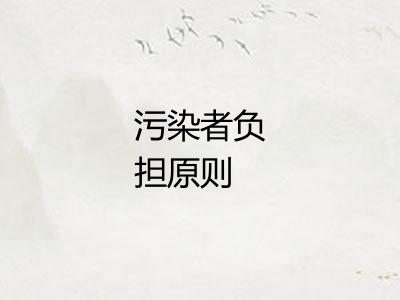 污染者负担原则