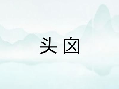 头囟 头囟