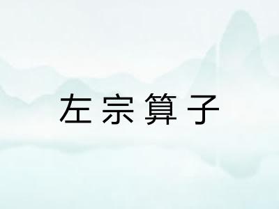左宗算子