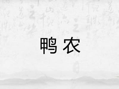 鸭农