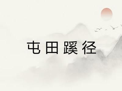 屯田蹊径