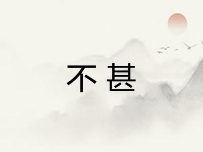 不甚