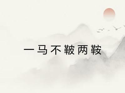 一马不鞁两鞍