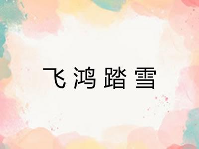 飞鸿踏雪 飞鸿踏雪