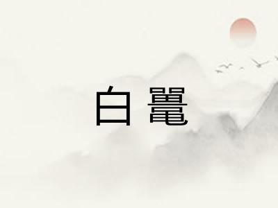 白鼍 白鼍