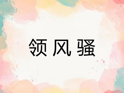 领风骚 领风骚