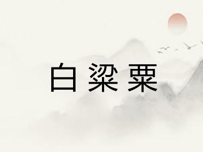 白粱粟 白粱粟