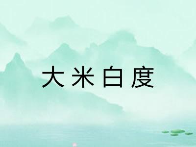 大米白度