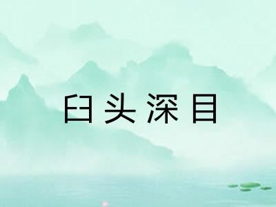 臼头深目