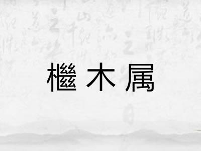 檵木属 檵木属