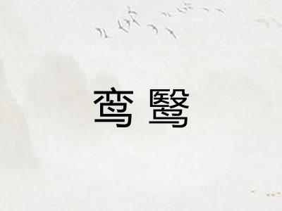 鸾鹥