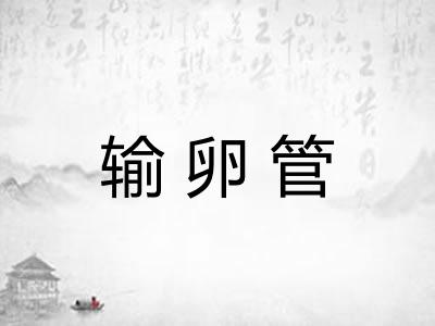输卵管