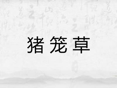 猪笼草