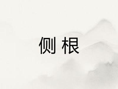 侧根