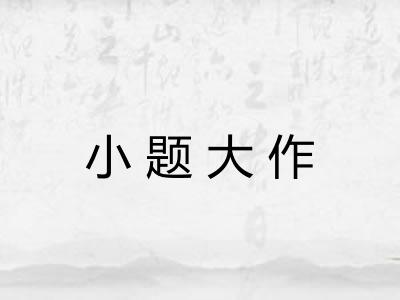 小题大作