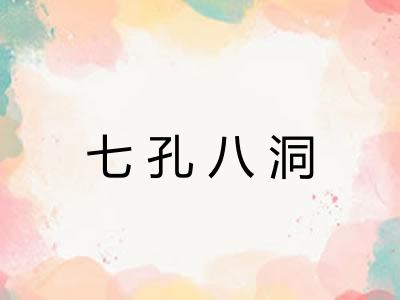 七孔八洞
