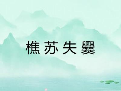 樵苏失爨