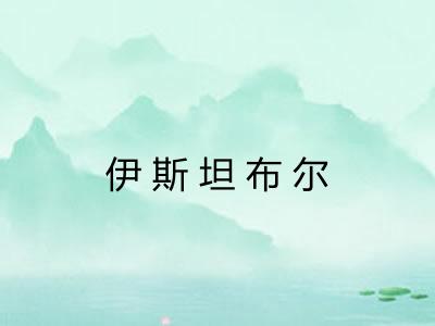 伊斯坦布尔