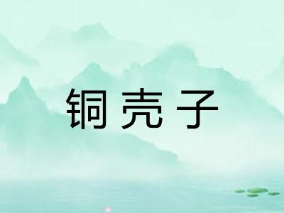 铜壳子