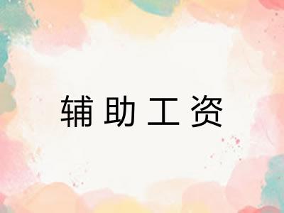 辅助工资 辅助工资