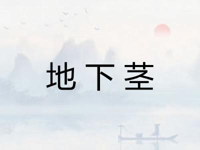 地下茎