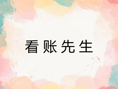 看账先生