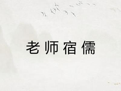 老师宿儒