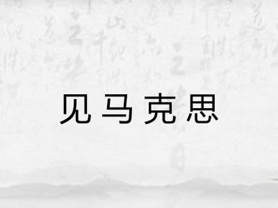 见马克思