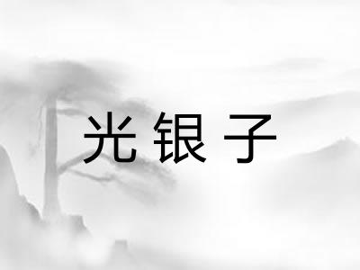 光银子