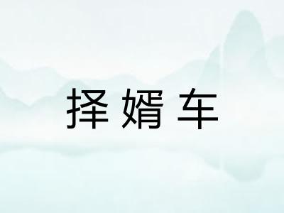 择婿车