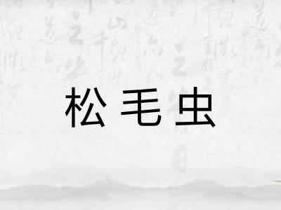 松毛虫 松毛虫